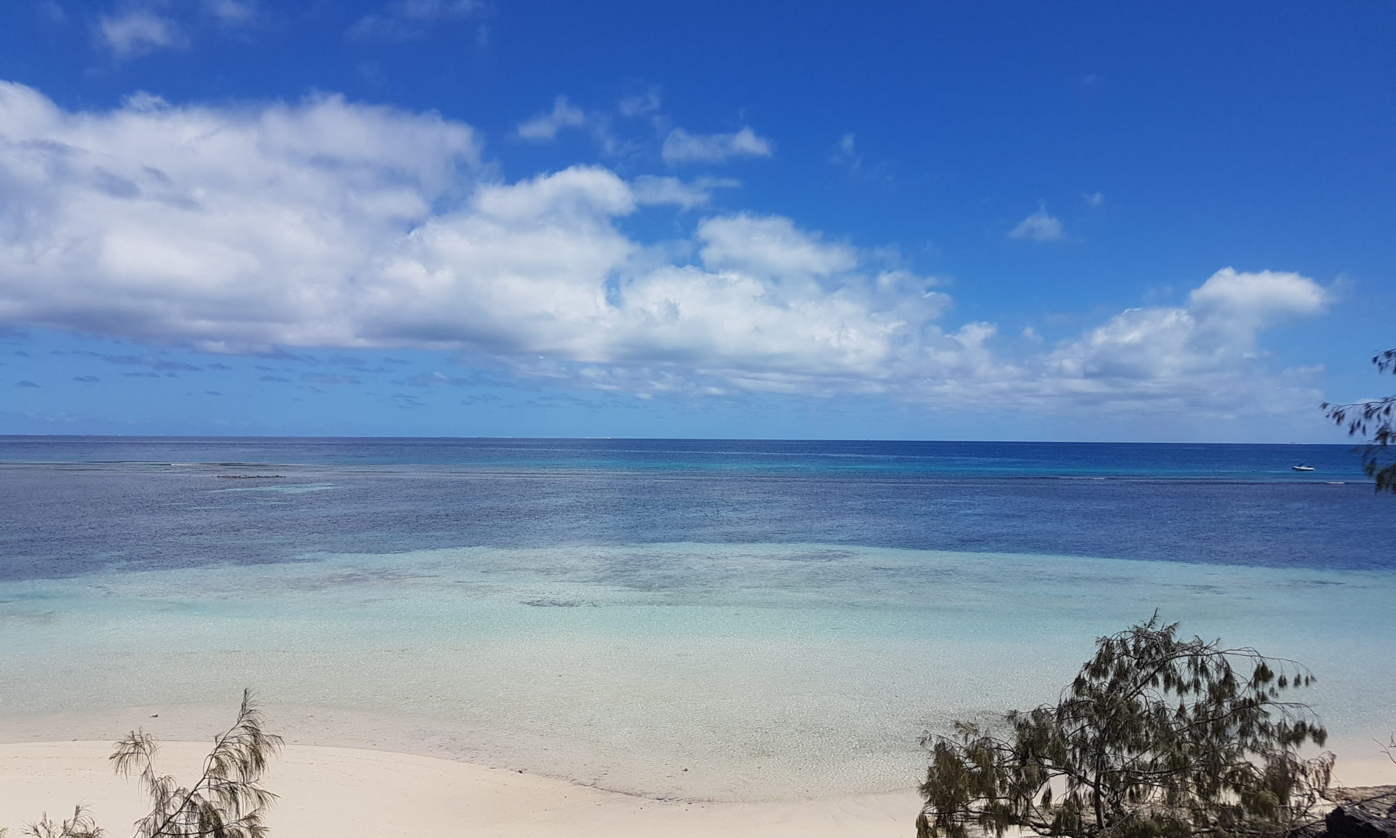 Une vue de l'îlot Signal (Photo: gecka.nc)