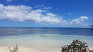 Une vue de l'îlot Signal (Photo: gecka.nc)