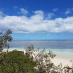 Une vue de l'îlot Signal (Photo: Gecka)