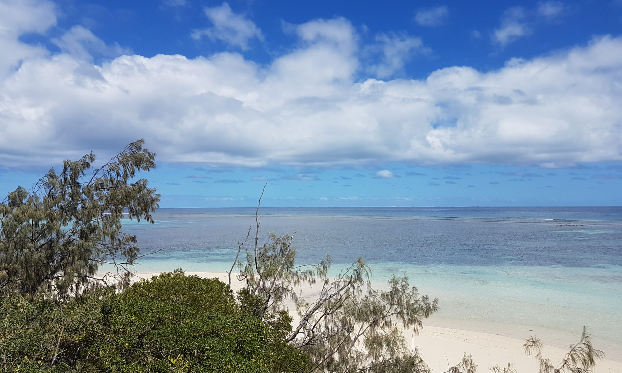 Une vue de l'îlot Signal (Photo: Gecka)