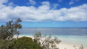 Une vue de l'îlot Signal (Photo: Gecka)