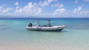 Notre Taxi-Boat